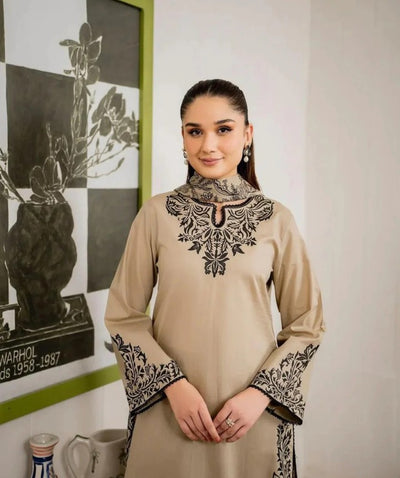 Vinya Embroidered Stiched (3 piece)ZL1009